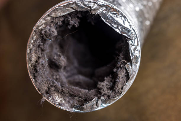 Best Dryer Vent Cleaning Services  in USA